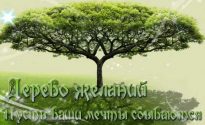 Дерево желаний