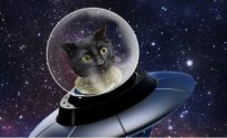Астрономы открыли секрет, как установить контакт с инопланетянами